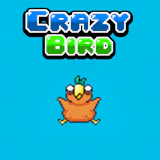 Crazy Bird