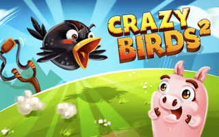 Crazy Birds 2 game cover