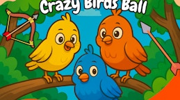 Crazy Birds Ball