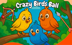 Crazy Birds Ball