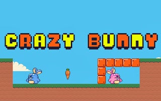 Crazy Bunny game cover