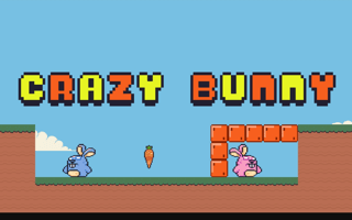 Crazy Bunny game cover