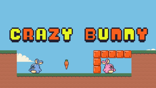 Crazy Bunny game cover
