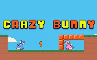 Crazy Bunny game cover