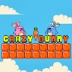 Crazy Bunny