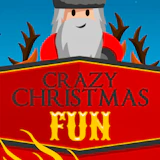 Crazy Christmas Fun