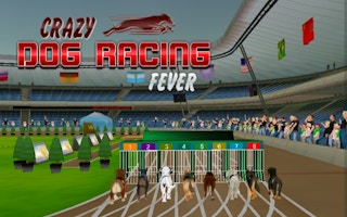 Crazy Dog Racing Fever game cover