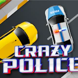 Crazy Police