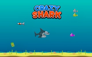 Crazy Shark game cover