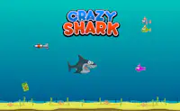 Crazy Shark