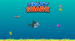Crazy Shark