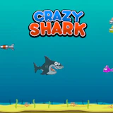 Crazy Shark