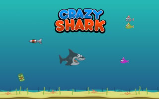 Crazy Shark game cover