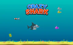 Crazy Shark