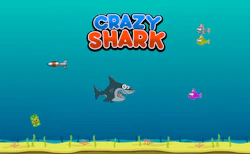 Crazy Shark