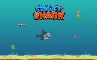 Crazy Shark