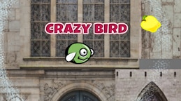 CrazyBirdCity