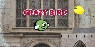 CrazyBirdCity thumbnail