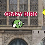 CrazyBirdCity