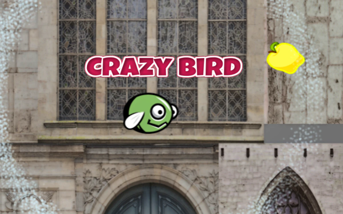 Play CrazyBirdCity — free online Arcade game