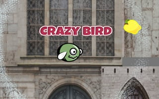 Crazybirdcity game cover