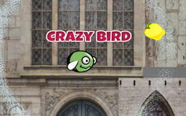 CrazyBird