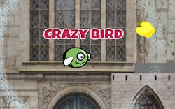 CrazyBirdCity