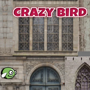 CrazyBirdCity Thumbnail