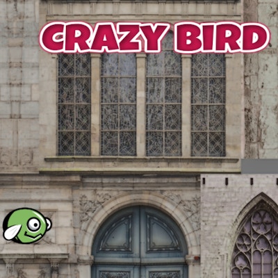 CrazyBirdCity By Gamepix