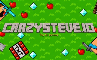 CrazySteve.io