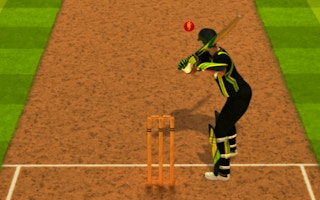 Cricket Batter Challenge game cover