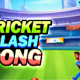 Cricket Clash Pong