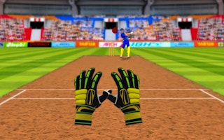 Cricket Fielder Challenge game cover