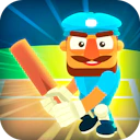 Icon of Cricket Hero