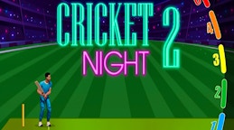 Cricket Night 2