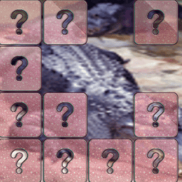 Crocodile Memory Match Online puzzle Games on taptohit.com