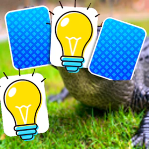Crocodile Memory Match Thumbnail