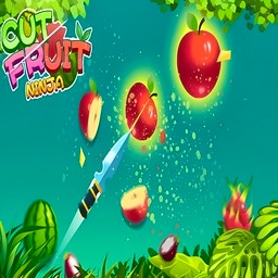 Cut Fruit Ninja