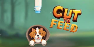 Cut to Feed thumbnail