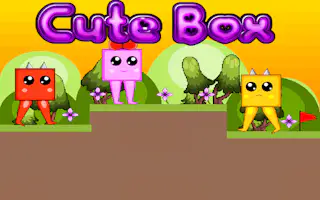 Cute Box