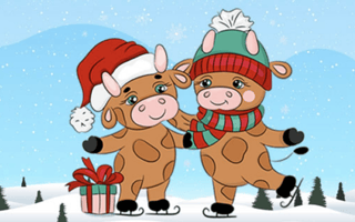 Cute Christmas Bull Difference game cover