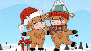 Cute Christmas Bull Difference game cover
