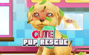 Free PET GAMES for Girls!