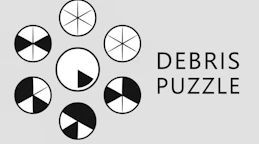 Debris Puzzle
