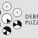 Debris Puzzle