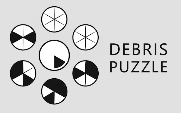 Debris Puzzle