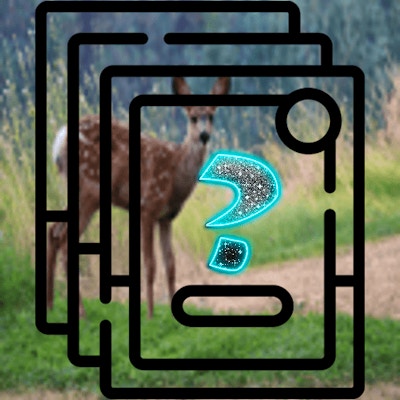 Deer Memory Match By Gamepix