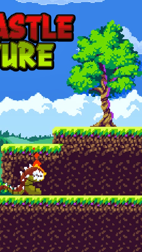 Demon Castle Adventure