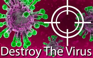 Destroy The Virus game cover