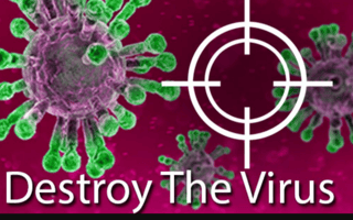 Destroy The Virus game cover